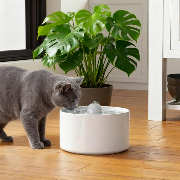 Ceramic Drinking Fountain Designed for Pets