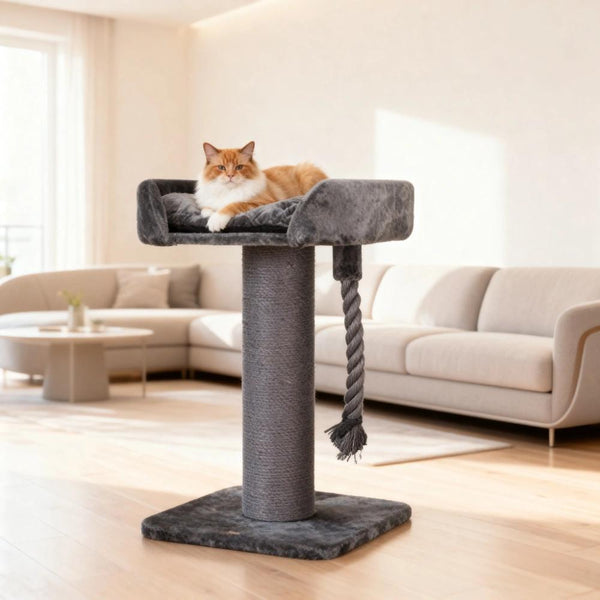 Tall Scratching Post Designed for Beds – Ideal for Large Felines, Charcoal