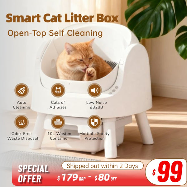 Auto-Cleaning Cat Litter Box for Multiple Cats | Open Top | White (Liners & Mat Included)
